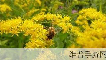 beegHD16ⅩXXX：蜜蜂高清视频【专题】