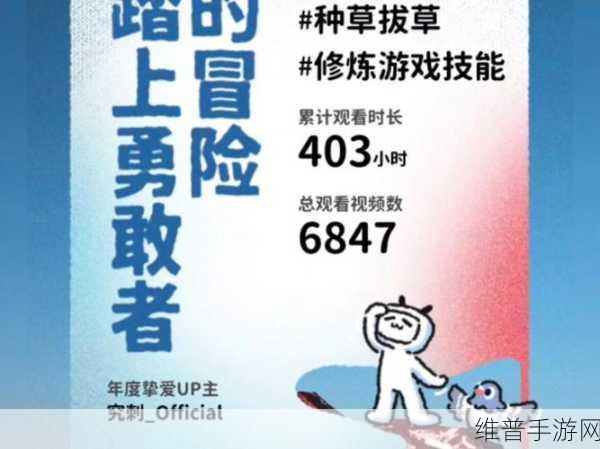 免费b站2024年：B站视频畅玩版2024【专题】