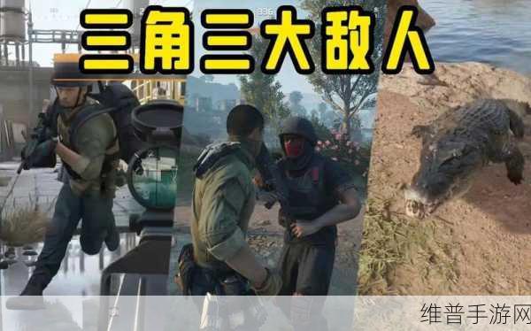 三角洲行动中鳄鱼的多样用途全解析