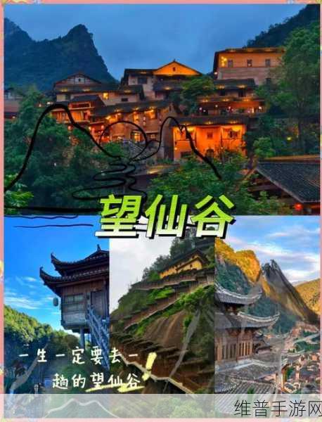 白泽传说魂之战场，探索仙侠世界的极致之旅
