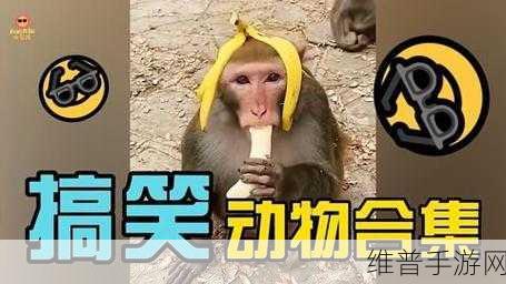 香蕉视频。：香蕉短视频 - 趣味小视频社区【专题】
