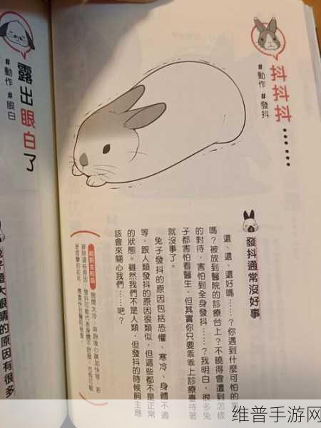 老师的兔子在衬衫里抖：```text【专题】