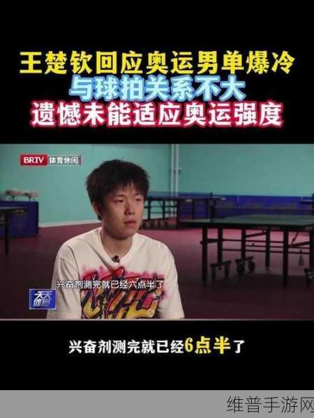 蔡振华和王楚钦的关系：乒乓传奇：国手羁绊解密【专题】