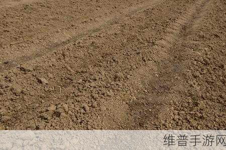 耕种妈妈肥沃的土地美国：农场妈妈：欢乐种植之旅【专题】