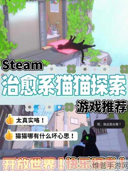 小猫咪大城市饭团帽收集全攻略