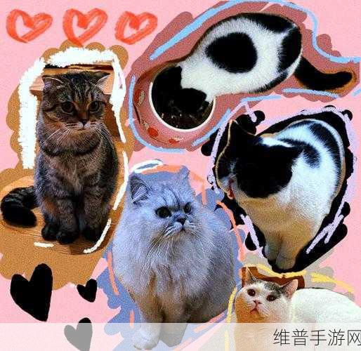 露营猫咖啡,打造梦幻猫星人主题咖啡厅的秘籍