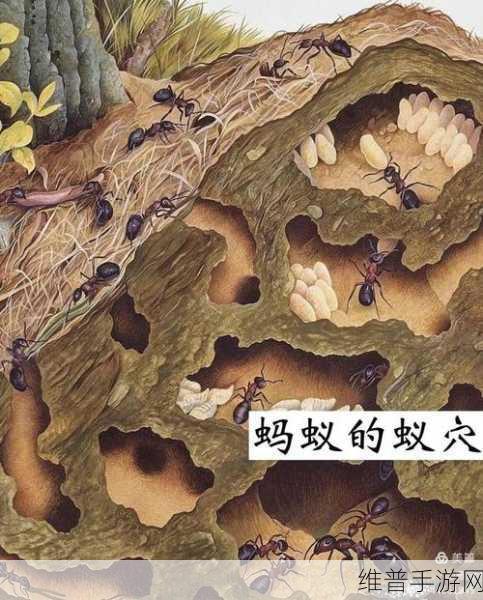 蚂蚁部落大作战，探索微观世界的生存冒险之旅