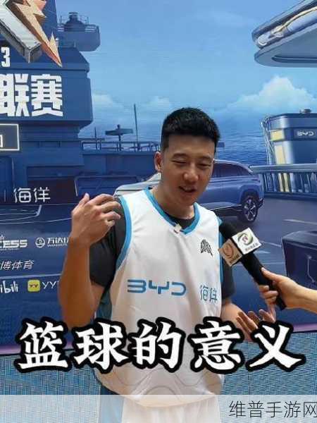 大学篮球王猛陈磊部分5：篮球之路：陈磊的王者之路 第5章【专题】