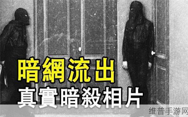 吃瓜暗网：暗网瓜园【专题】