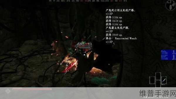 上古卷轴 5 手游，尸鬼形成之谜大揭秘