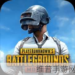 PUBG Mobile国际服安卓2024下载全攻略，大型多人在线模拟生存吃鸡类游戏深度解析