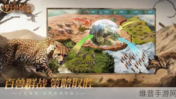 抖音疯狂践踏游戏下载,探索极其有趣的休闲益智新世界