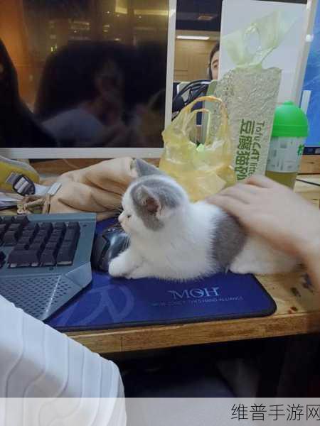Super飞喵下载，探索清新猫咪世界的敏捷飞行之旅