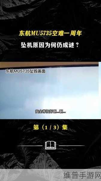 东航坠机原因：空难模拟器：揭秘东航事故【专题】