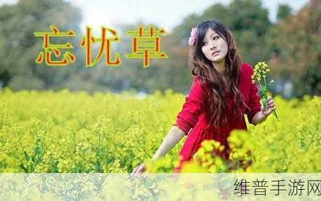 忘忧草在线视频观看大豆行情：忘忧草：休闲养成小游戏【专题】
