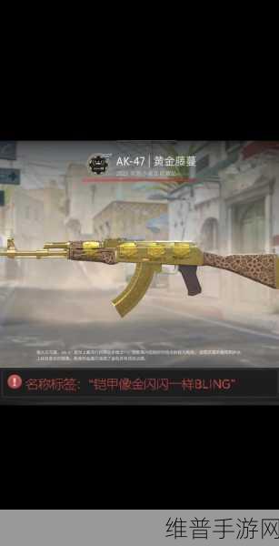 17岁俄罗斯csgo：激情、挑战与成长_攻略_七弟手游：CSGO手游：17岁少年的电竞之路与成长攻略【专题】
