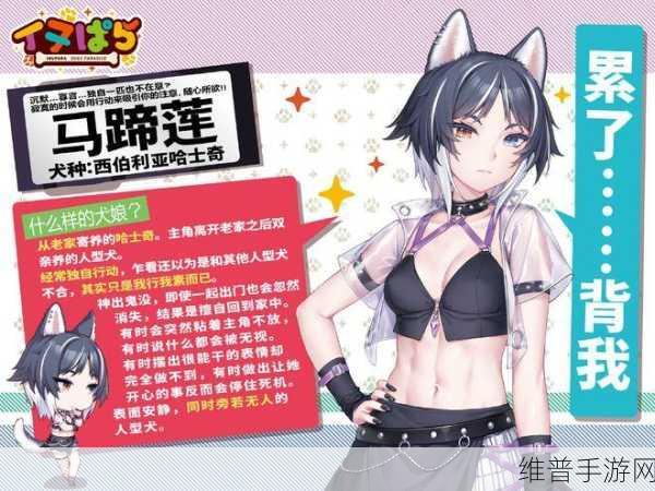 和猫娘拔萝卜手机游戏：萝卜大作战：猫娘萌宠闯关记【专题】