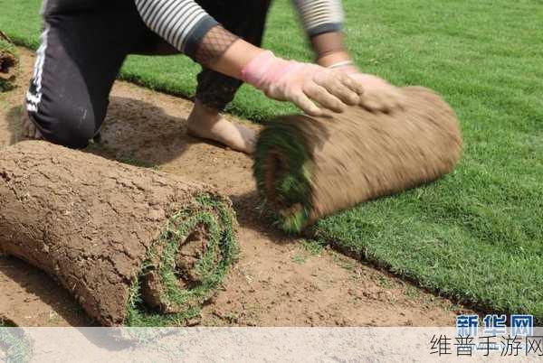 一起草在线观看:一起来种草吧【专题】