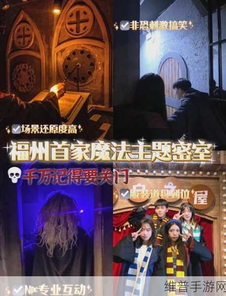 miya188.mon/192.168.0.1:魔法宝藏岛:冒险之旅【专题】