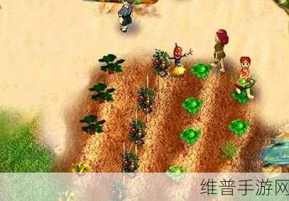 虚拟村庄5攻略：虚拟村庄5：打造你的梦想小镇【专题】