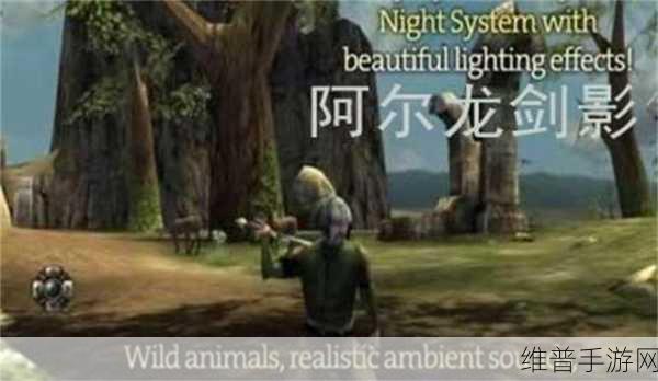 阿尔龙,剑影中文版深度攻略与体验分享