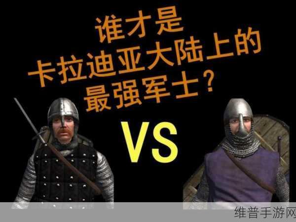 骑马与砍杀战团更改兵种属性:骑砍战团:兵种养成攻略【专题】