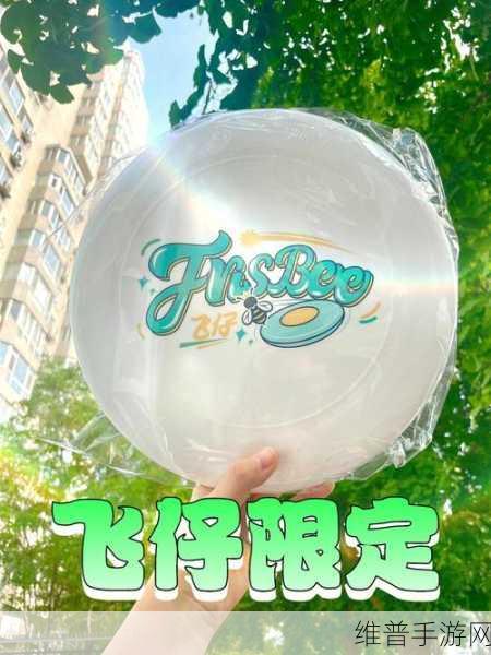决斗飞盘全道具解锁版,解锁休闲闯关新乐趣