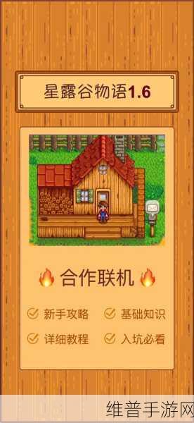 星露谷物语联机卡顿的终极解决方案