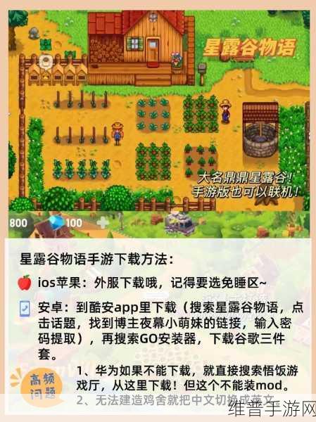 星露谷物语联机卡顿的终极解决方案