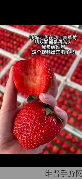 草莓10.13破解版：草莓视频APP 10.13 豪华版【专题】