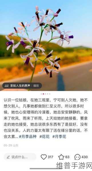 永远牢记by蜜芽：永恒记忆：蜜芽传说【专题】
