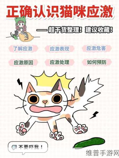 猫咪大陆抖音版下载全攻略,萌系猫咪题材的策略放置手游深度解析