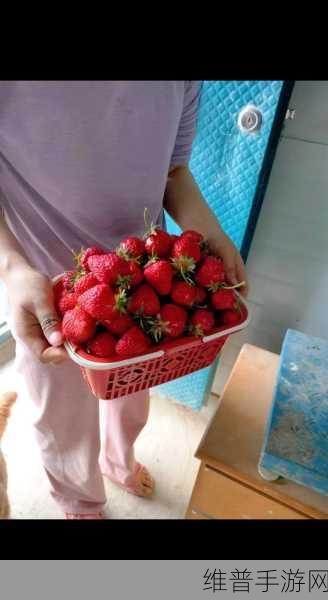草莓福利视频：草莓视频小屋【专题】
