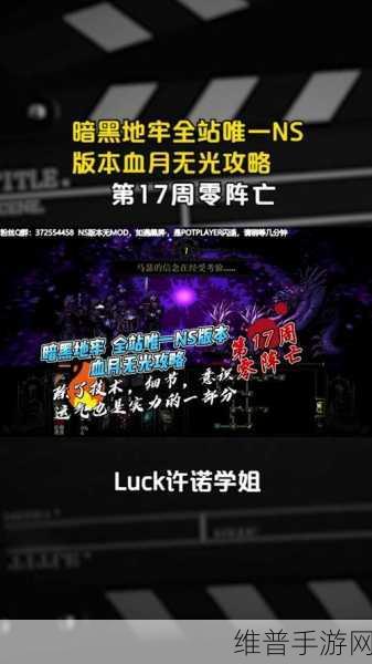 埋葬诅咒安卓版，暗黑地牢探险题材的生存冒险RPG手游全攻略