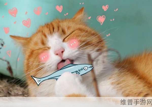 猫咪APP：喵喵乐园【专题】