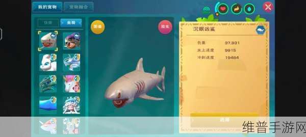 创造与魔法，探寻驯服鲨鱼图纸的神秘之地