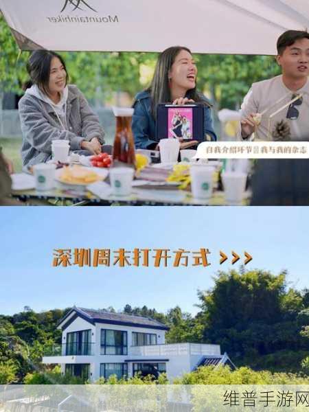 深圳出租房里的交互:深圳租房达人:指尖上的家园探索【专题】