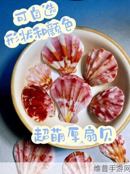 两个 一个扇贝：双生贝壳大冒险【专题】
