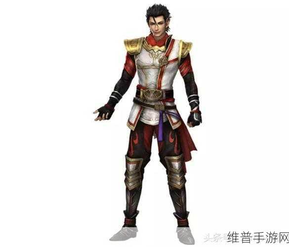 无双大蛇 3 小少将全解析，实力与魅力并存