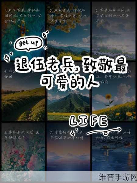 2024退伍军人招回：老兵归来：2024荣耀招募【专题】
