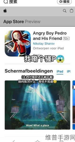 愤怒男孩佩德罗，第一人称解谜冒险全攻略