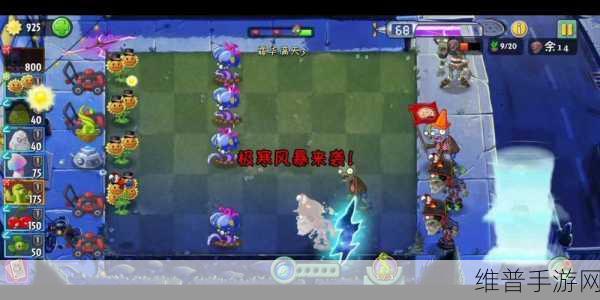 植物大战僵尸 2 中深渊海葵实战全攻略
