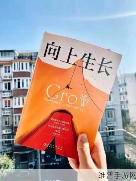 我自为道，精准抉择阵营，开启非凡之旅