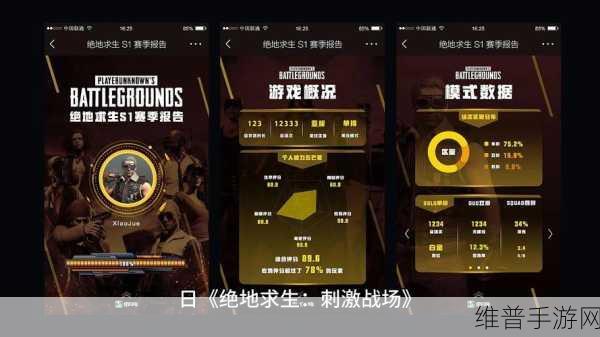 刺激战场国际服2024，极致竞技，冒险吃鸡新体验