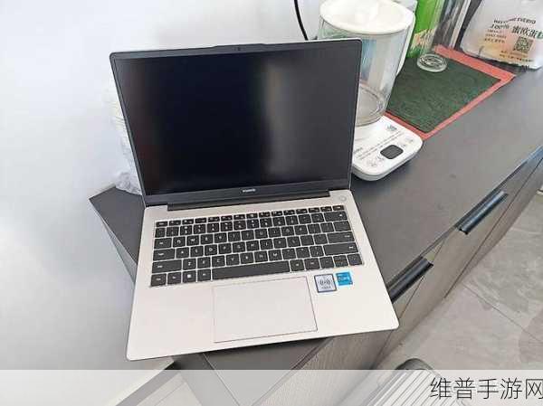 华为d16(16+1T)的是不是高清版：华为D16笔记本16+1T版本屏幕分辨率测评【专题】