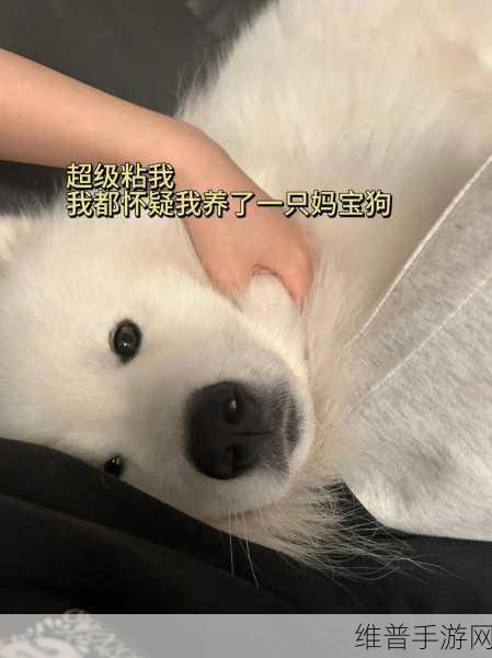 我的老公是只狗一郎：狗一郎养成计划【专题】