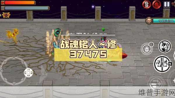 战魂铭人1.0.15内购版深度攻略,像素世界的战斗冒险之旅
