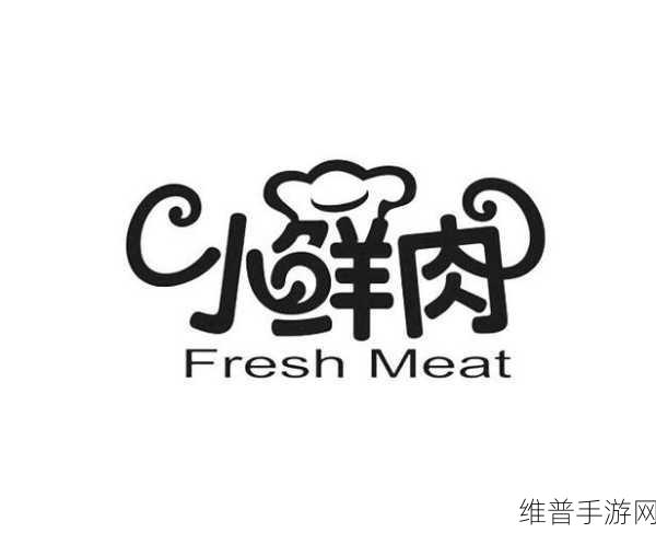 小鲜肉的大logo：```【专题】