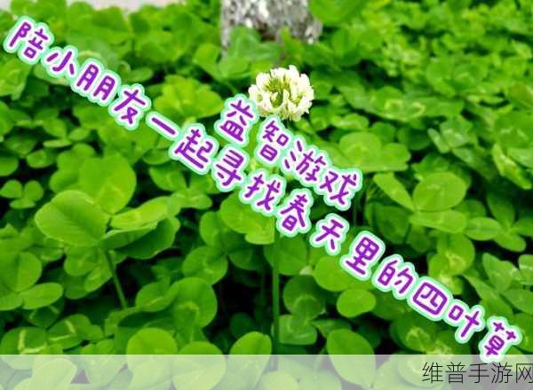 四叶草实验室2021隐藏入口：神秘花园：寻找四叶草的冒险之旅【专题】