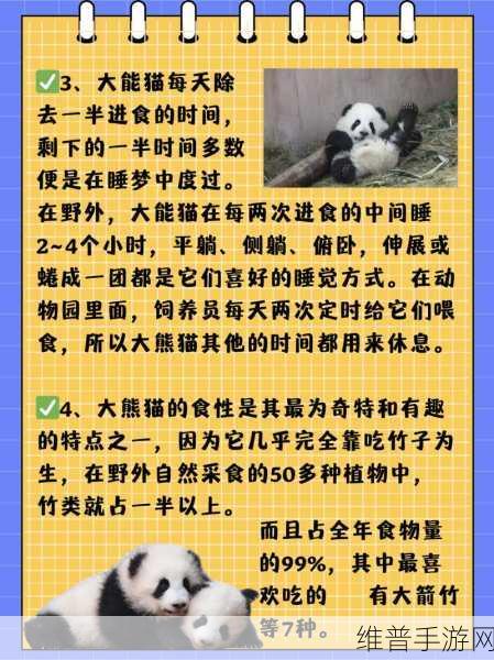 聪明熊猫大冒险，探索聪明的熊猫画线解谜之旅